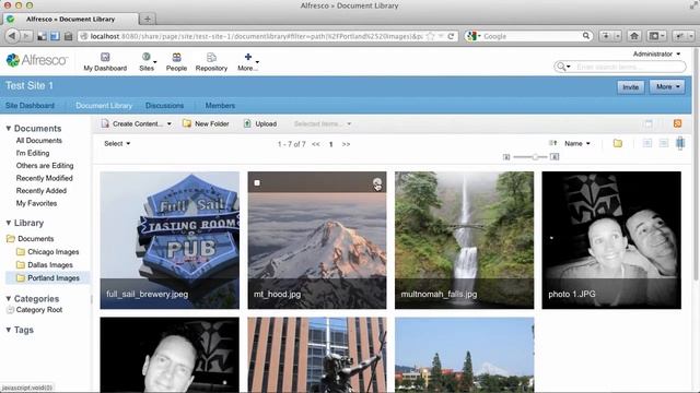 New Rich Media Gallery View in Alfresco 4.2 Community смотреть онлайн