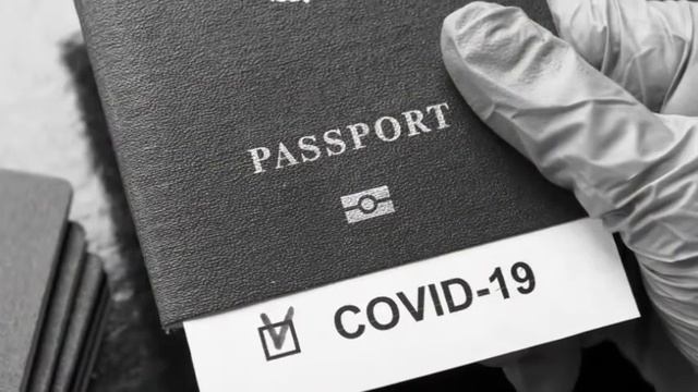 Михаил Оводов Цифр Ковид паспорт смотреть онлайн