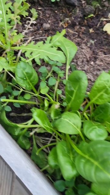 Что с погодой? Аномалии . смотреть онлайн