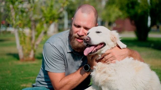 Собака 8 лет искала родной дом, а когда нашла, то заплакала от счастья! смотреть онлайн