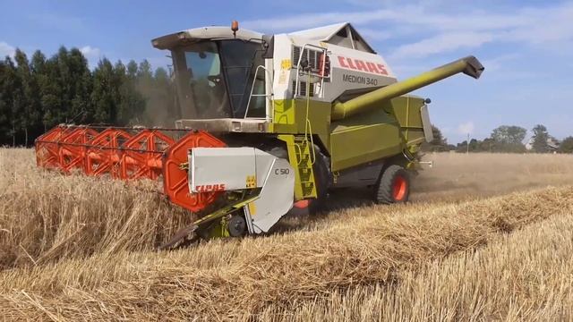 🔥Pierwsze Żniwa Pszenżyta🌾🔥Claas Medion 340 W Akcji🔥 смотреть онлайн