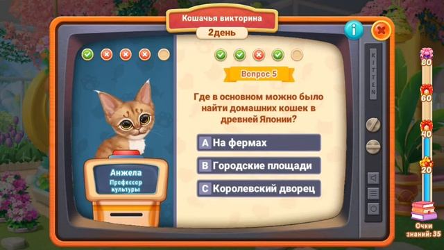 kitten match. Кошачья викторина 😸 смотреть онлайн