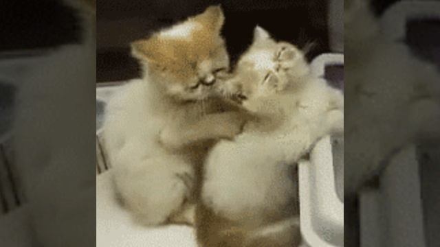 Coolio - Gangsta's Paradise