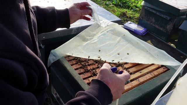 последняя обработка пчел 3,5 процентной щавелевой кислотой смотреть онлайн