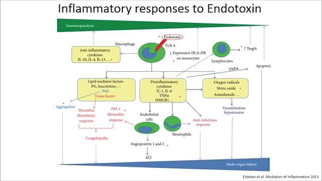 Immunomodulation and extracorporeal therapies. Antonelli Massimo