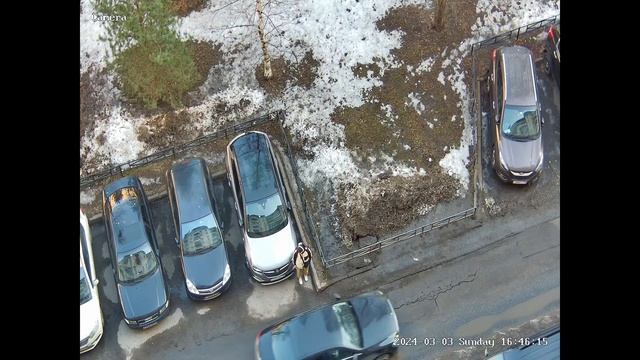 03 марта 2024 г ода 16 час помогайка топтун в наушниках смотреть онлайн