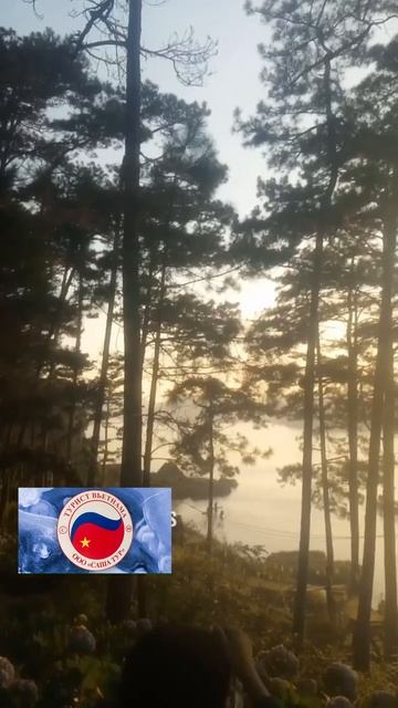 Живу во Вьетнаме.