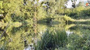 Поиск и ловля сома на малых реках. Рыбалка в коряжнике. Сом на выползок #рыбалка #рыба #сом #fishin