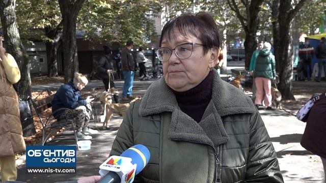 Об'єктив 14 10 21 Виставка собак "Щастя не має" породи в Каштановому сквері смотреть онлайн