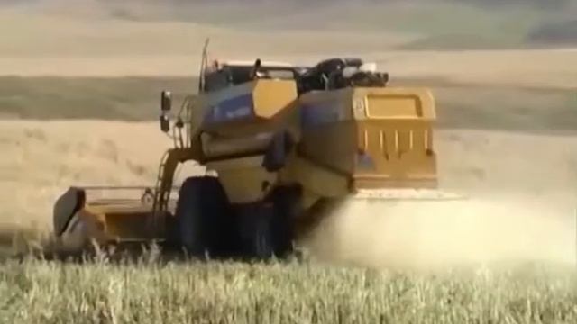 24 часа 02 12 2016 День сельского работника смотреть онлайн