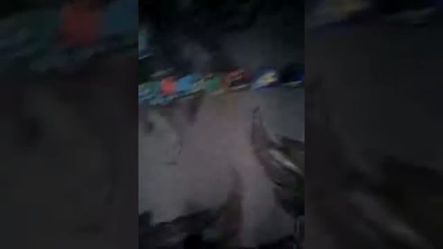 Показ карточек Черепашки ниндзя смотреть онлайн