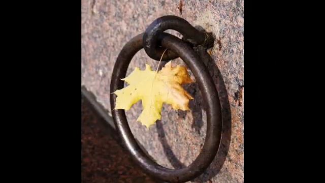 Бродяга-блюз.wmv смотреть онлайн