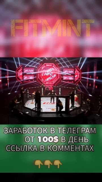 ДВИЖ БОРЦА И ЗАЛИМХАН ЮСУПОВ НОКАУТ ЗА 9 СЕКУНД! #shorts смотреть онлайн