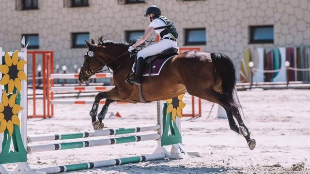 Красивые фото со стартов #horse #лошади #дети #equestrian #конныйспорт #тренировка смотреть онлайн