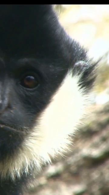 #short #shortvideo #youtubeshorts #youtubeshort #shortsyoutube смотреть онлайн