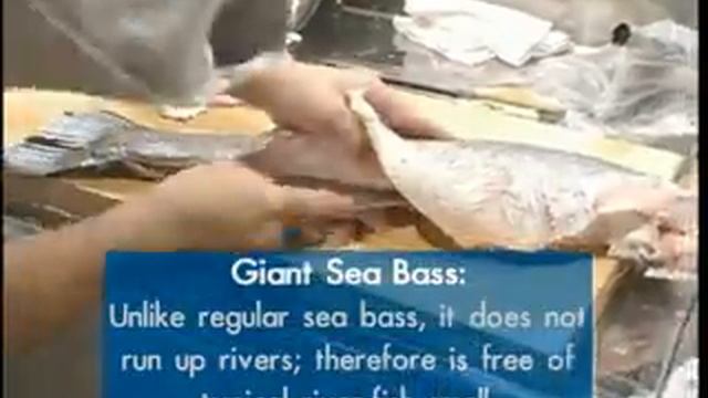 Iron Chef Japan -- Giant Sea Bass! смотреть онлайн