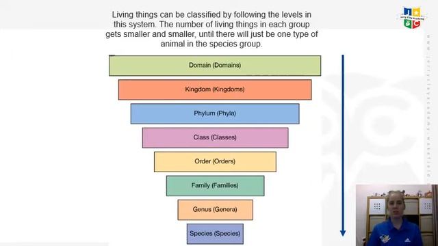 wc 18 5 20 Y6 Science Linnaean System смотреть онлайн