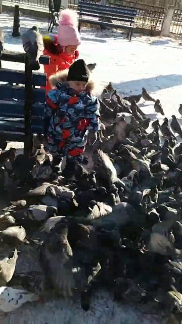 #shorts 🤗😉🕊️🕊️ смотреть онлайн