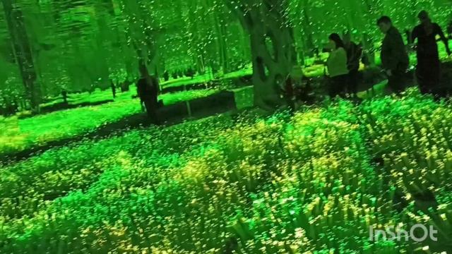 Арт пространство Футурион ,ВДНХ ,январь2025