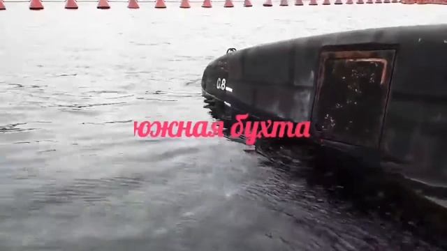 Медузы, в южной бухте😮 смотреть онлайн