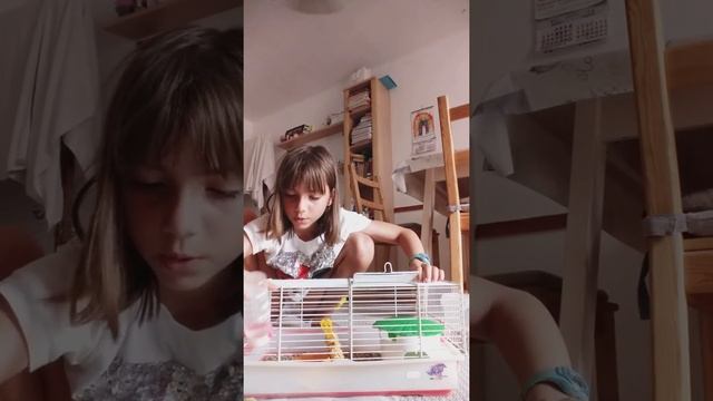 убираю клетку крыс .Ето треш! смотреть онлайн
