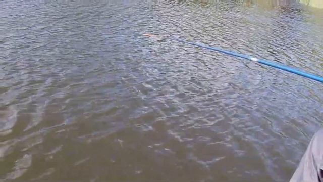 Рыбалка на базе отдыха Усть Алеус. Рыбалка на спиннинг, ловля на поплавок с мостка ОЗВУЧКА оператора смотреть онлайн