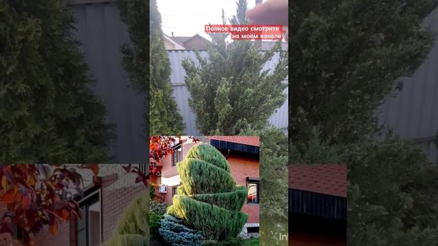 Обзор осеннего сада. Часть 1/3