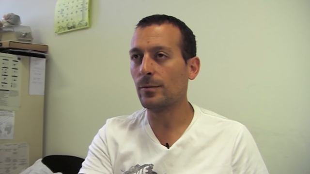 Así se grabó el mannequin challenge смотреть онлайн