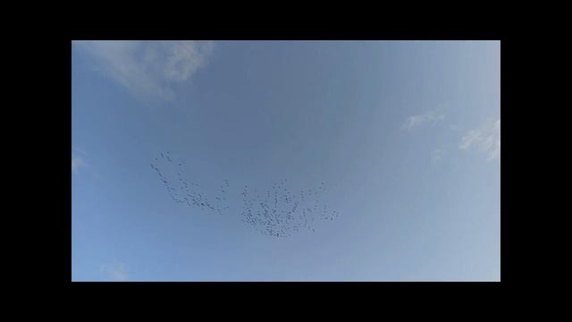 Відлітають журавлі ... смотреть онлайн