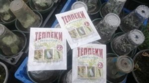 "Теппеки" от белокрылки: цена, дозировка и условия применения.
