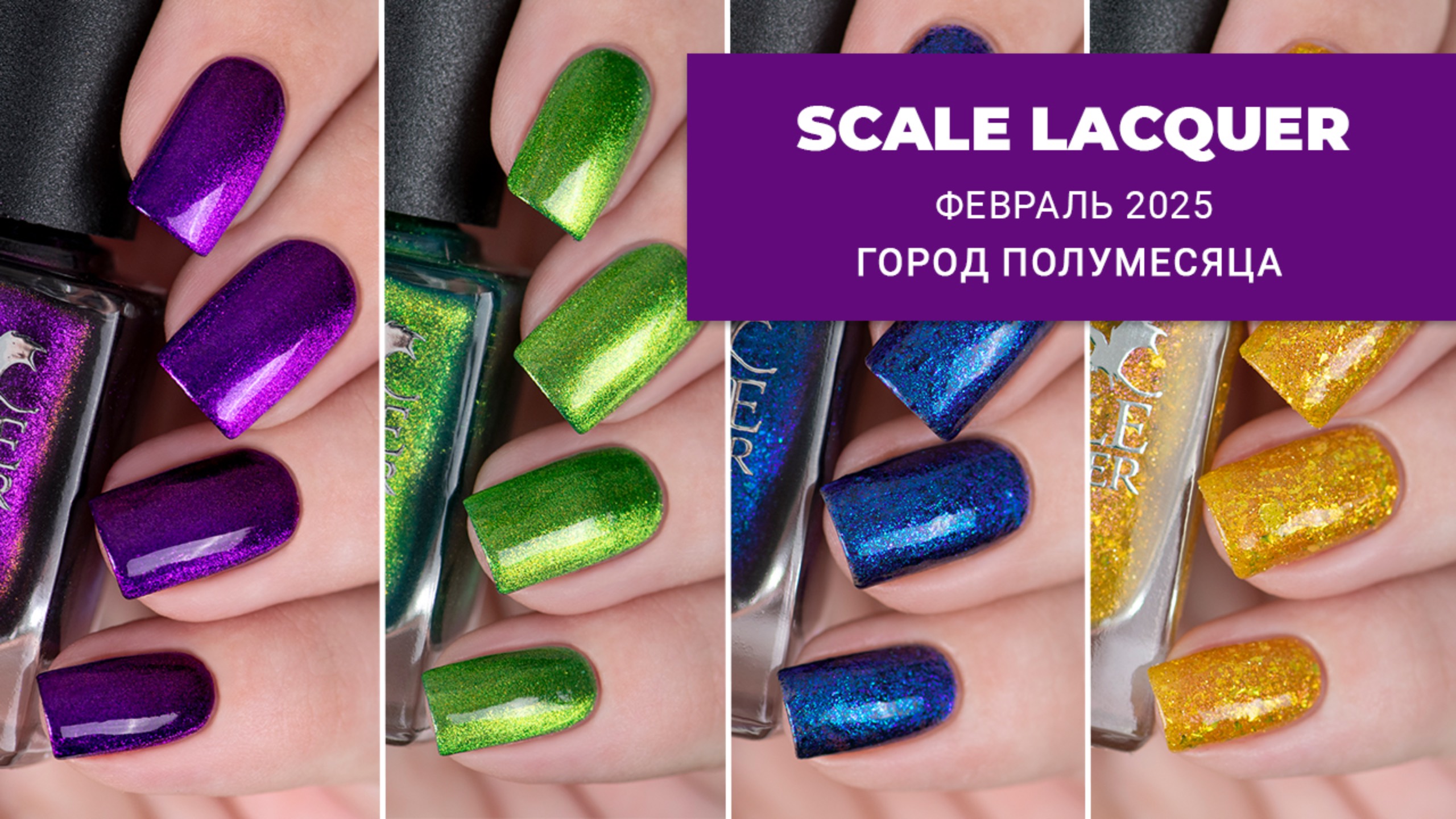 SCALE LACQUER февраль 2024 || Город Полумесяца || коллекция обычных лаков для ногтей
