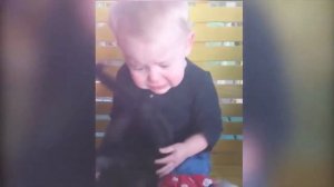 Малыш и котята играют вместе! Качество [HD] [HQ]