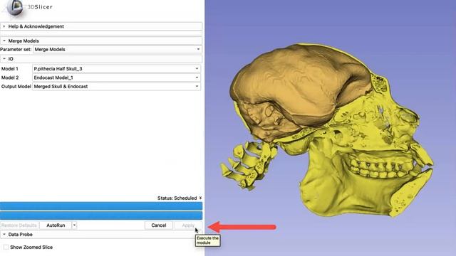 Merging Models [3D Slicer Workflow] смотреть онлайн