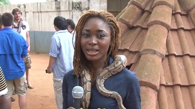 Python Strangles Reporter смотреть онлайн