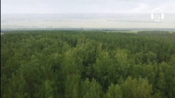 Дәстүрлі әндер жинағы #3 / 2022 / Халық әндері