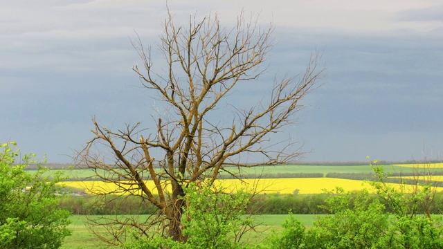 Фотопейзажи Кавказа(часть вторая) смотреть онлайн