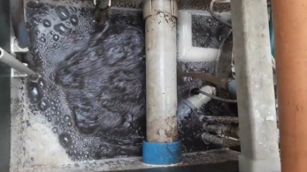 Подпирамидник