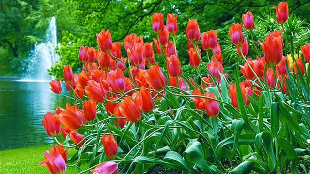 8 martaMSWMM_0001.wmv смотреть онлайн