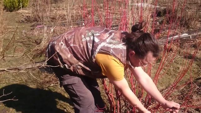 Дерен смотреть онлайн