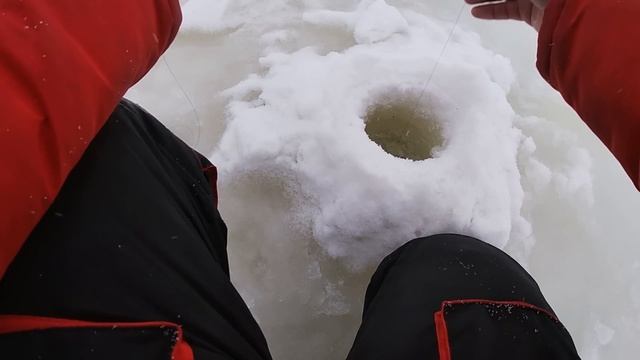 День ТРОФЕЕВ!!! Ловля КРУПНОЙ щуки на ЖЕРЛИЦЫ леска трещит не по ДЕТСКИ! Щука на живцав В ГЛУХОЗИМЬЕ смотреть онлайн