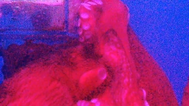 Фильм океанариум смотреть онлайн