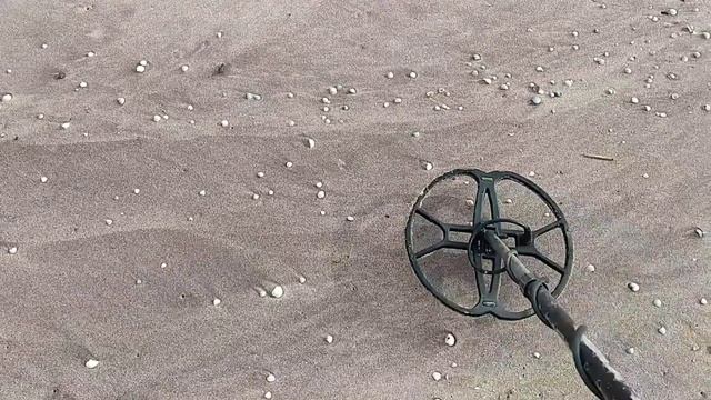 Пляжный коп в Бердянске 20 февраля с. г.. смотреть онлайн