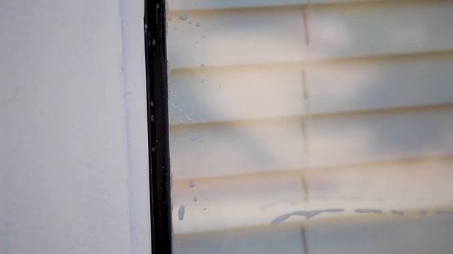 What Solution Should I Use to Clean My Windows? смотреть онлайн