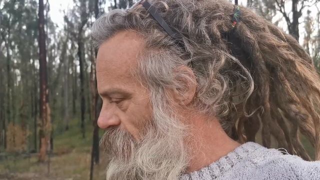 I'm a Koala in the Spotted Gum Bush by Thundercloud Repairian смотреть онлайн