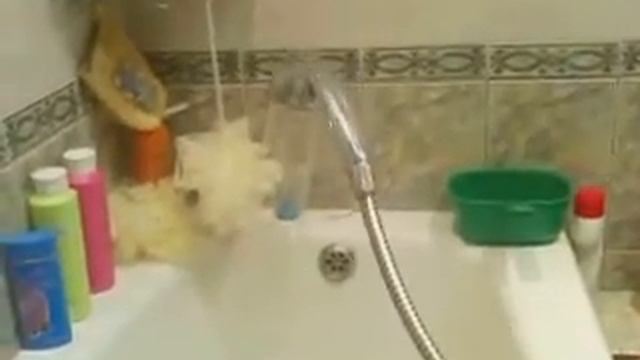 Змея атаковала смотреть онлайн