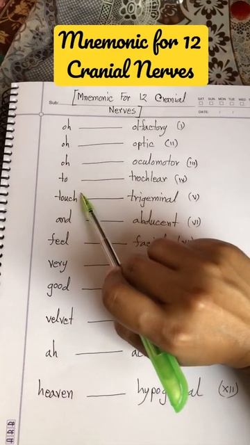 Mnemonic For 12 Cranial Nerves | #shorts смотреть онлайн