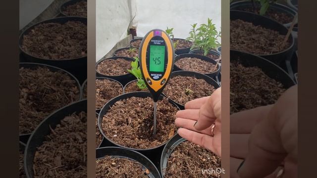 Не долго радоваться пришлось .