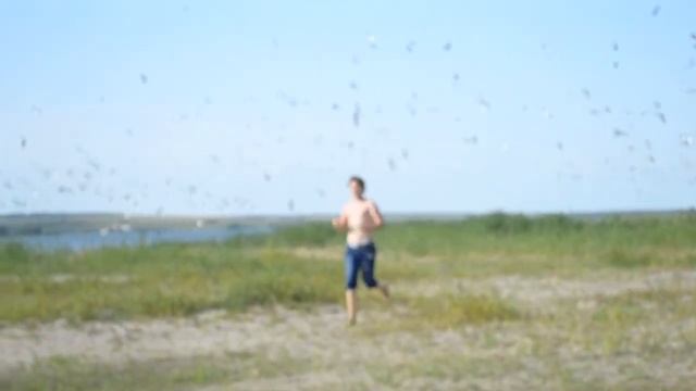 Чайка долбанула!!! Ахах смотреть онлайн