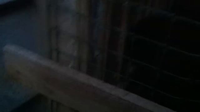я и обезьяна в новоульяновске (звук) смотреть онлайн