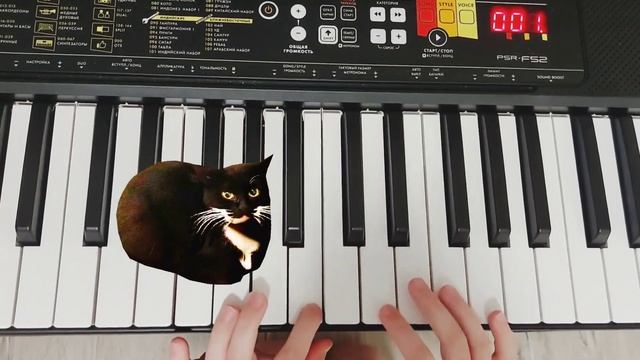 MaxWell Cat смотреть онлайн